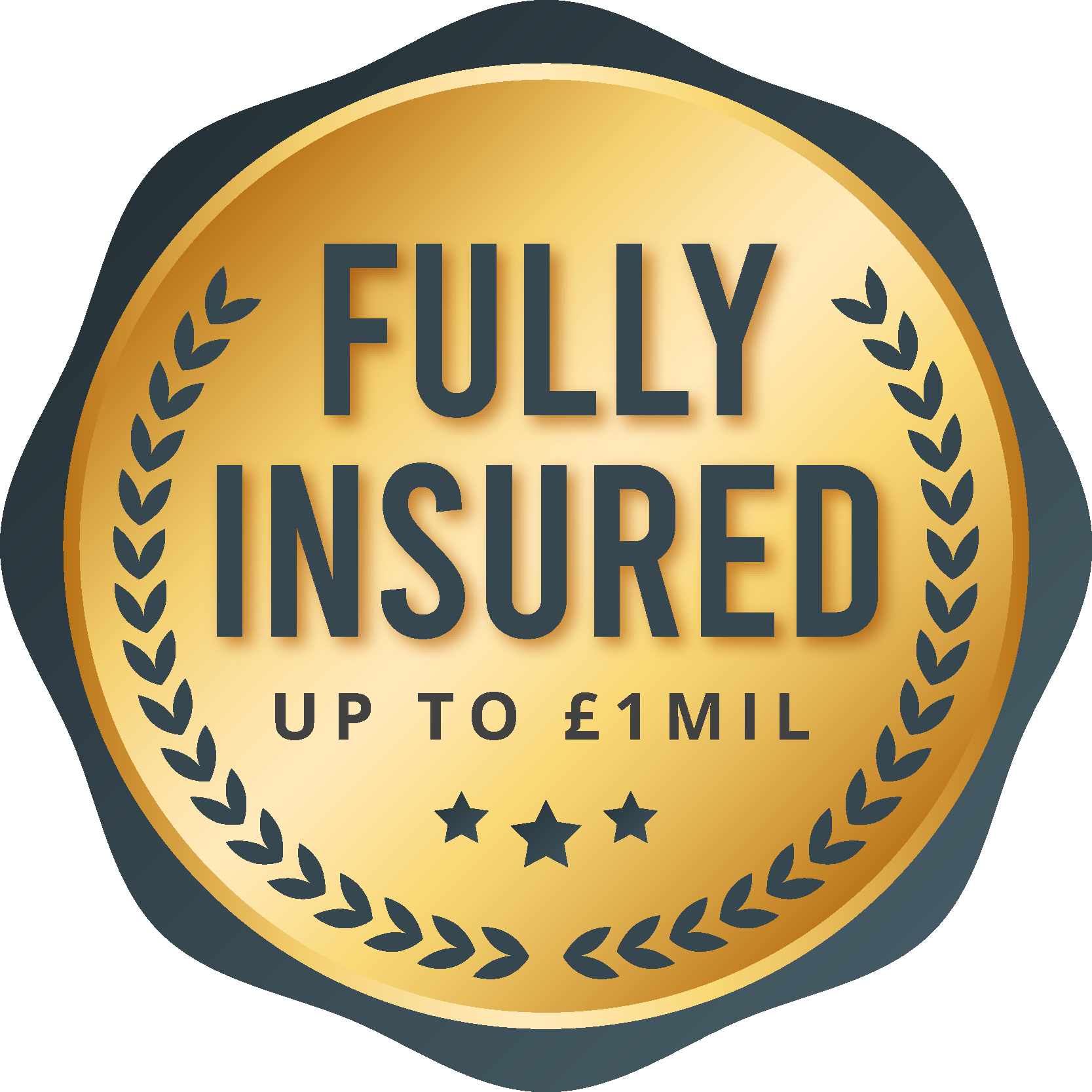 Fully Insured up to £1million